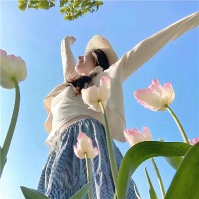 反叛的鲁路修R2